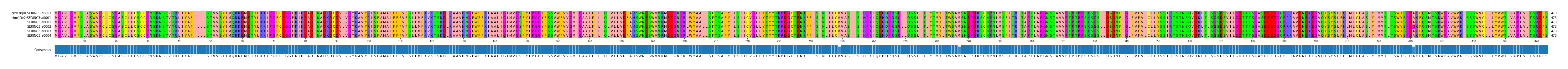 Multiple Alignments (by translate haplotype frequency)
