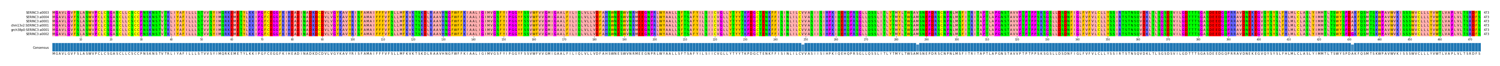 Multiple Alignments (by translate haplotype similarity)