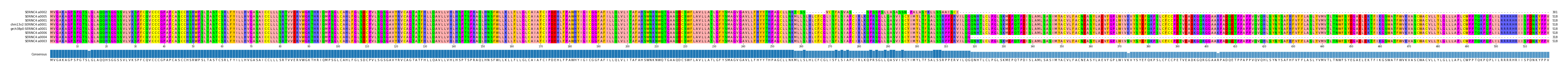 Multiple Alignments (by translate haplotype similarity)