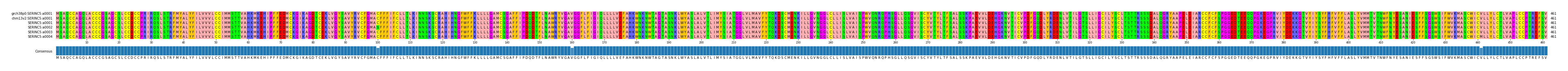 Multiple Alignments (by translate haplotype frequency)