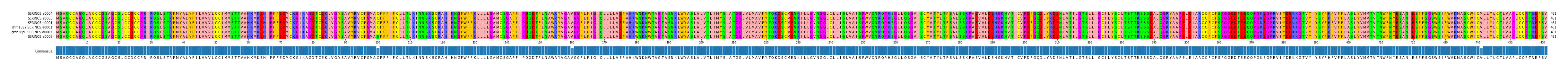 Multiple Alignments (by translate haplotype similarity)