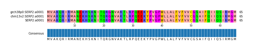 Multiple Alignments (by translate haplotype similarity)