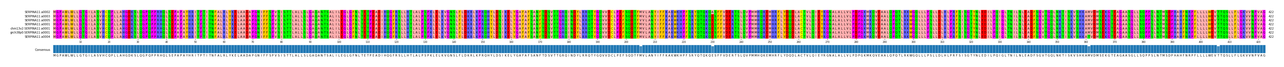 Multiple Alignments (by translate haplotype similarity)