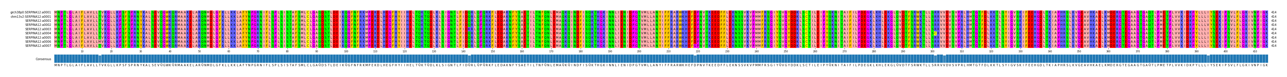 Multiple Alignments (by translate haplotype frequency)