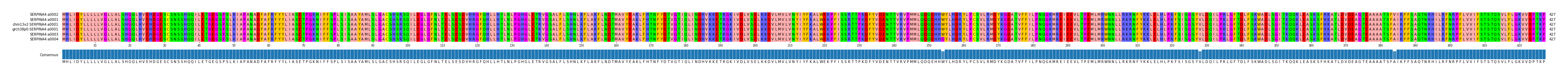 Multiple Alignments (by translate haplotype similarity)