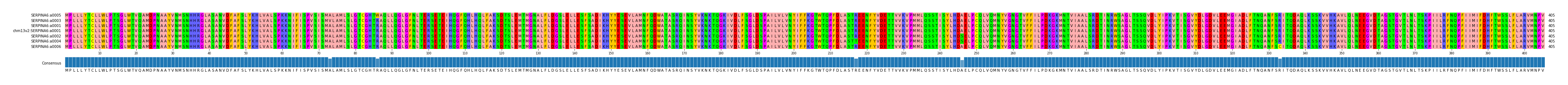 Multiple Alignments (by translate haplotype similarity)