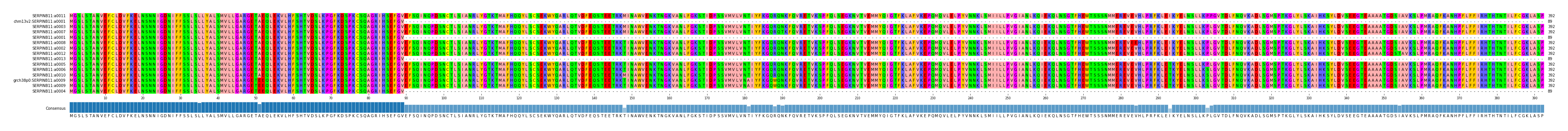 Multiple Alignments (by translate haplotype similarity)