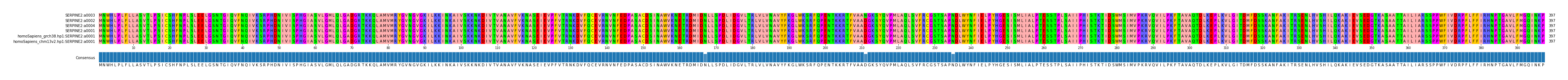 Multiple Alignments (by translate haplotype similarity)