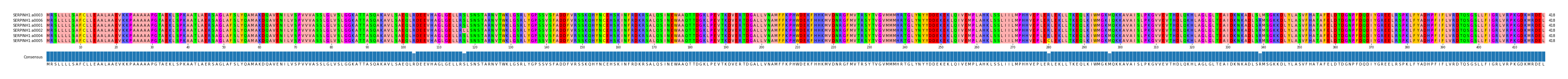 Multiple Alignments (by translate haplotype similarity)