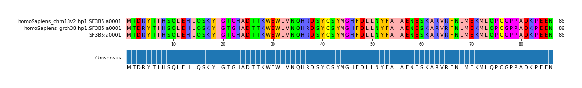 Multiple Alignments (by translate haplotype frequency)