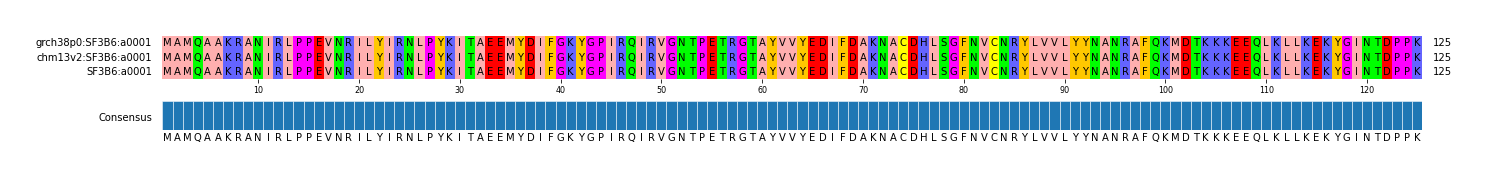 Multiple Alignments (by translate haplotype similarity)