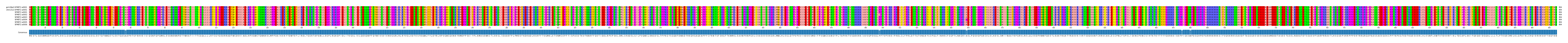 Multiple Alignments (by translate haplotype frequency)