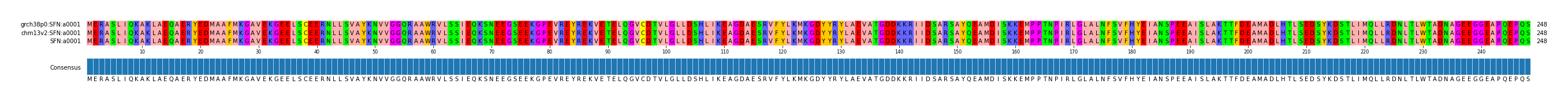 Multiple Alignments (by translate haplotype similarity)