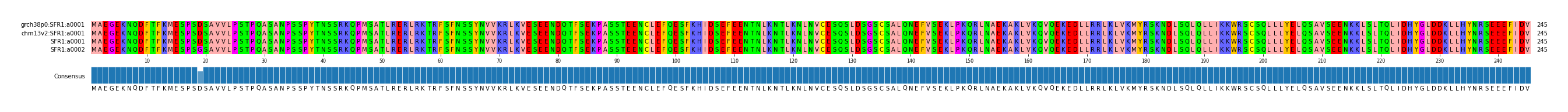 Multiple Alignments (by translate haplotype similarity)