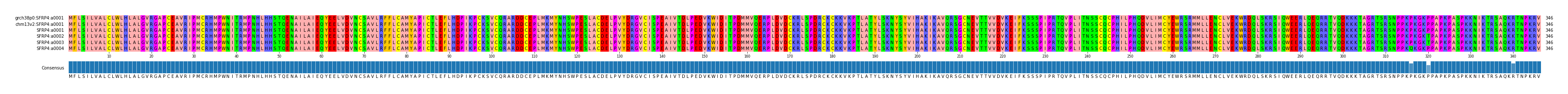 Multiple Alignments (by translate haplotype frequency)