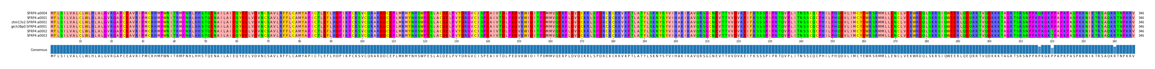 Multiple Alignments (by translate haplotype similarity)