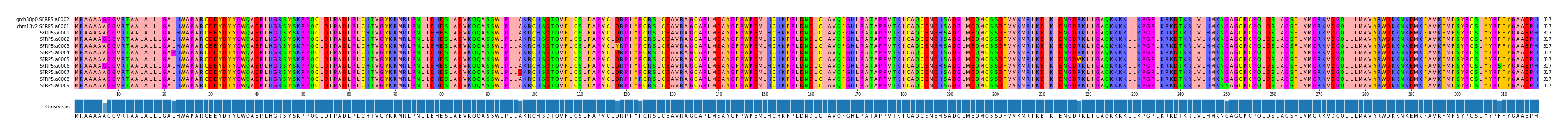 Multiple Alignments (by translate haplotype frequency)