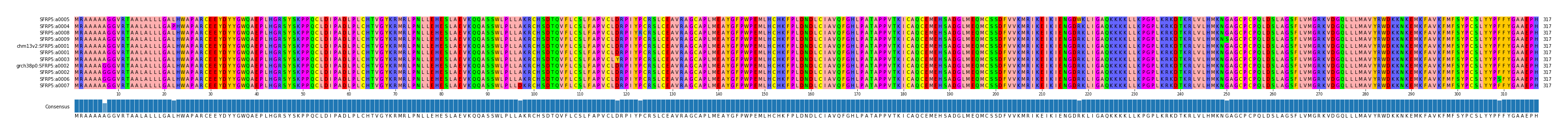 Multiple Alignments (by translate haplotype similarity)