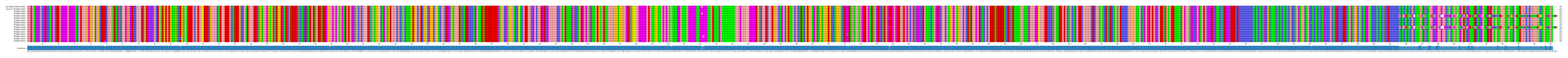 Multiple Alignments (by translate haplotype frequency)