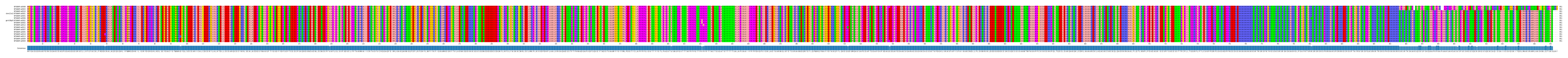 Multiple Alignments (by translate haplotype similarity)
