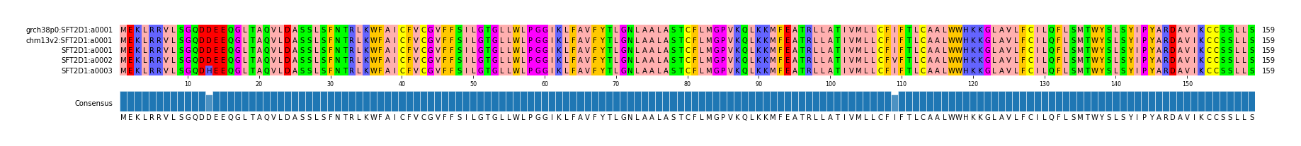 Multiple Alignments (by translate haplotype frequency)