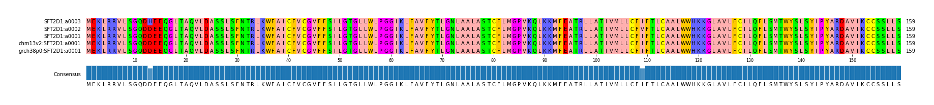 Multiple Alignments (by translate haplotype similarity)