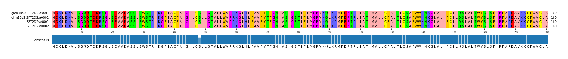 Multiple Alignments (by translate haplotype similarity)