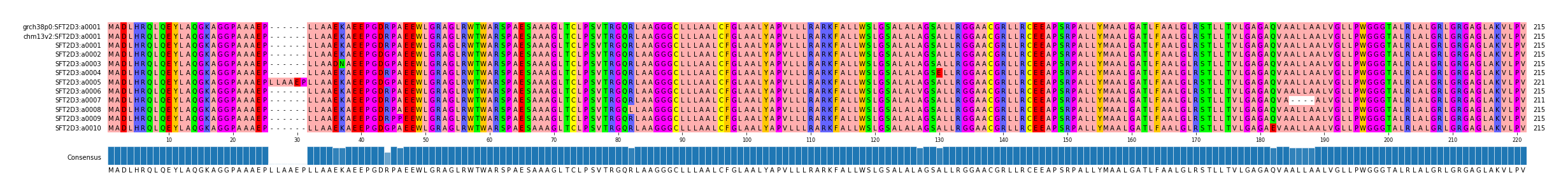 Multiple Alignments (by translate haplotype frequency)