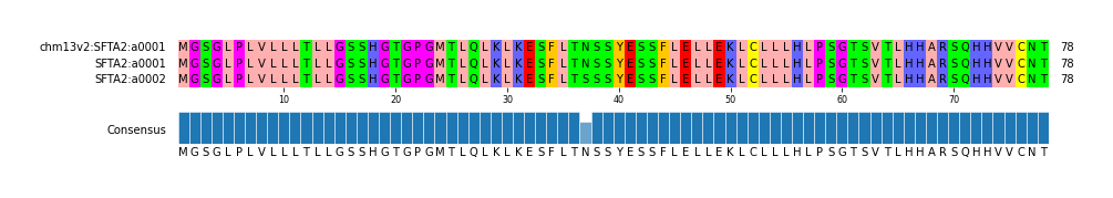 Multiple Alignments (by translate haplotype similarity)
