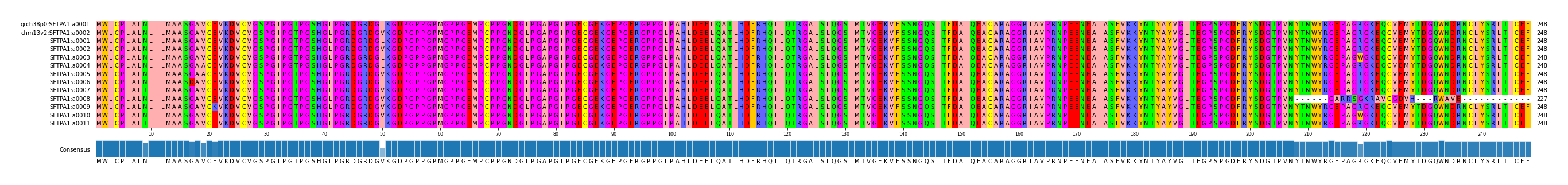 Multiple Alignments (by translate haplotype frequency)