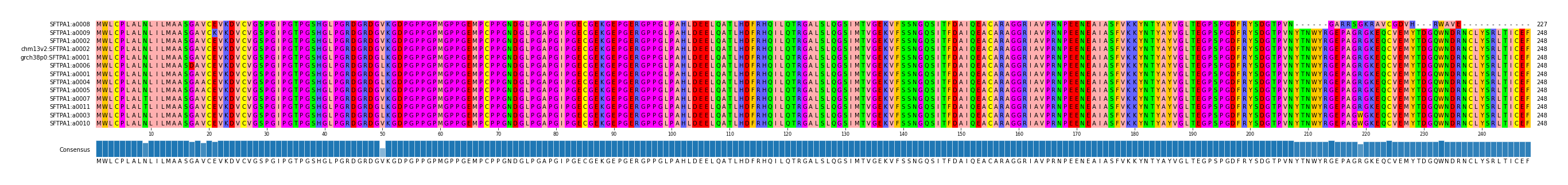 Multiple Alignments (by translate haplotype similarity)