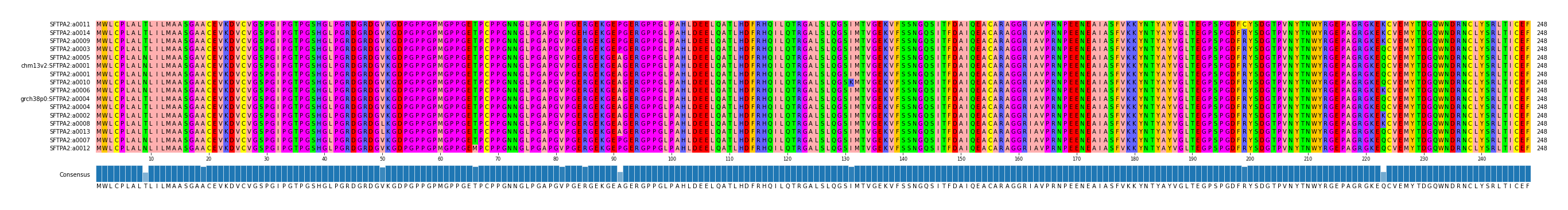 Multiple Alignments (by translate haplotype similarity)