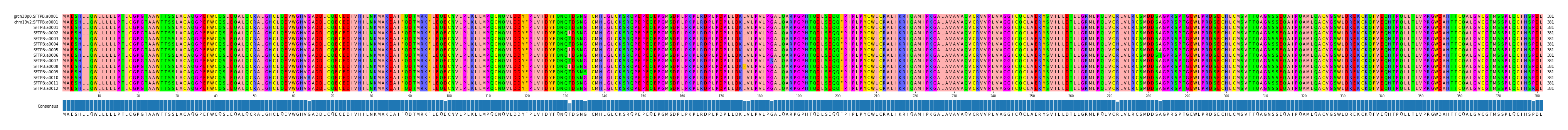 Multiple Alignments (by translate haplotype frequency)