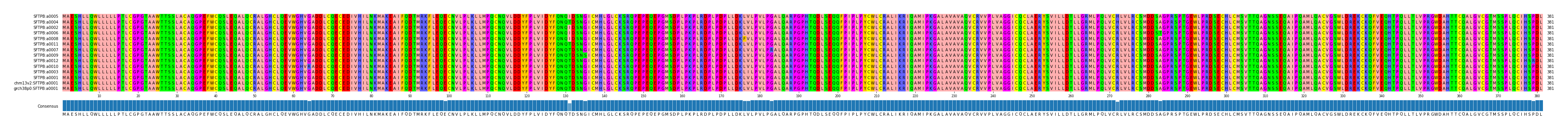 Multiple Alignments (by translate haplotype similarity)