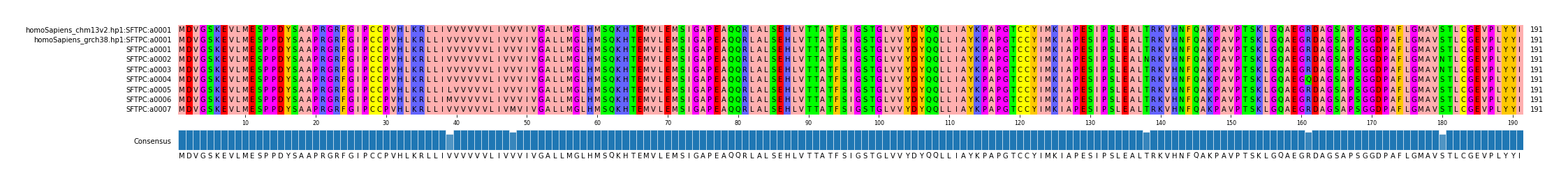 Multiple Alignments (by translate haplotype frequency)