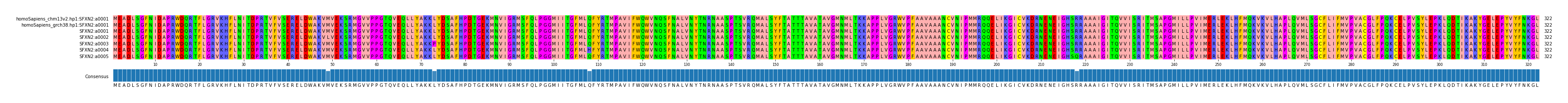 Multiple Alignments (by translate haplotype frequency)