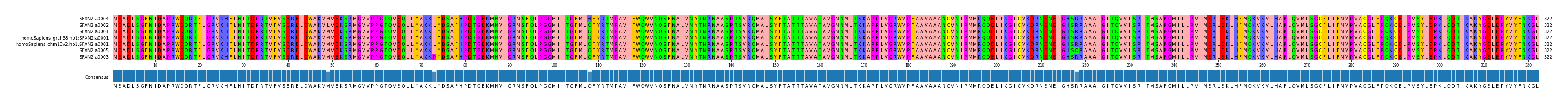 Multiple Alignments (by translate haplotype similarity)