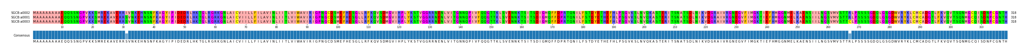 Multiple Alignments (by translate haplotype similarity)