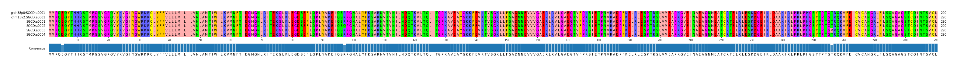 Multiple Alignments (by translate haplotype frequency)