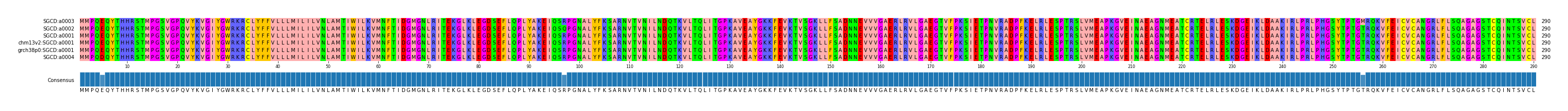 Multiple Alignments (by translate haplotype similarity)