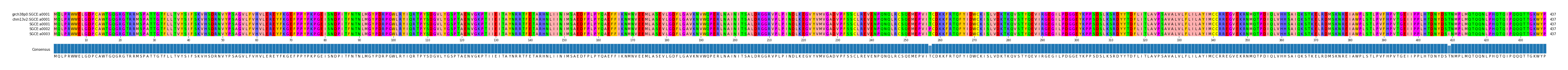 Multiple Alignments (by translate haplotype frequency)