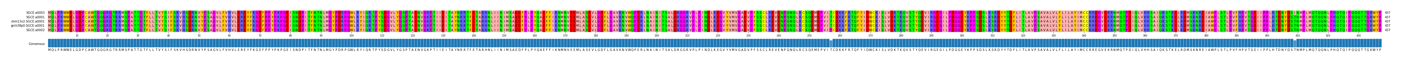Multiple Alignments (by translate haplotype similarity)