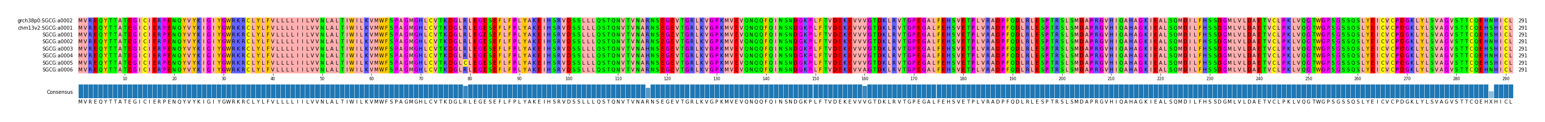 Multiple Alignments (by translate haplotype frequency)