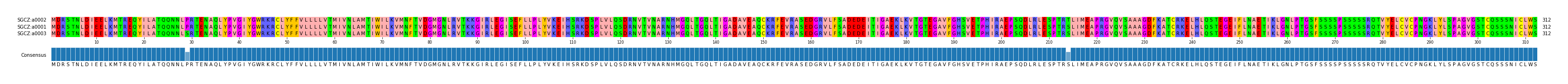 Multiple Alignments (by translate haplotype similarity)