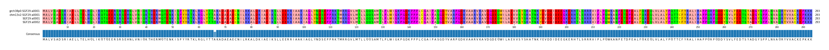 Multiple Alignments (by translate haplotype similarity)