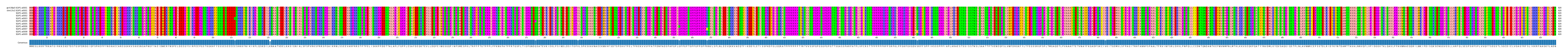 Multiple Alignments (by translate haplotype frequency)