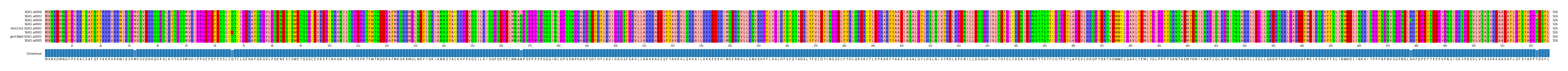 Multiple Alignments (by translate haplotype similarity)