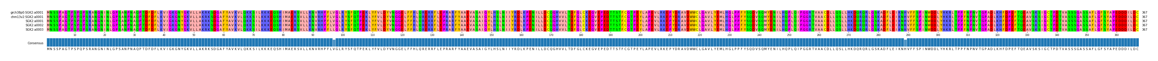 Multiple Alignments (by translate haplotype frequency)