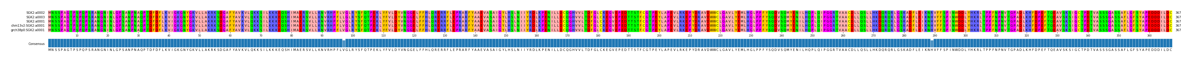 Multiple Alignments (by translate haplotype similarity)