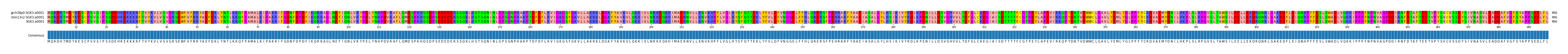 Multiple Alignments (by translate haplotype frequency)